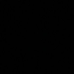 Meet your Posher, Luis